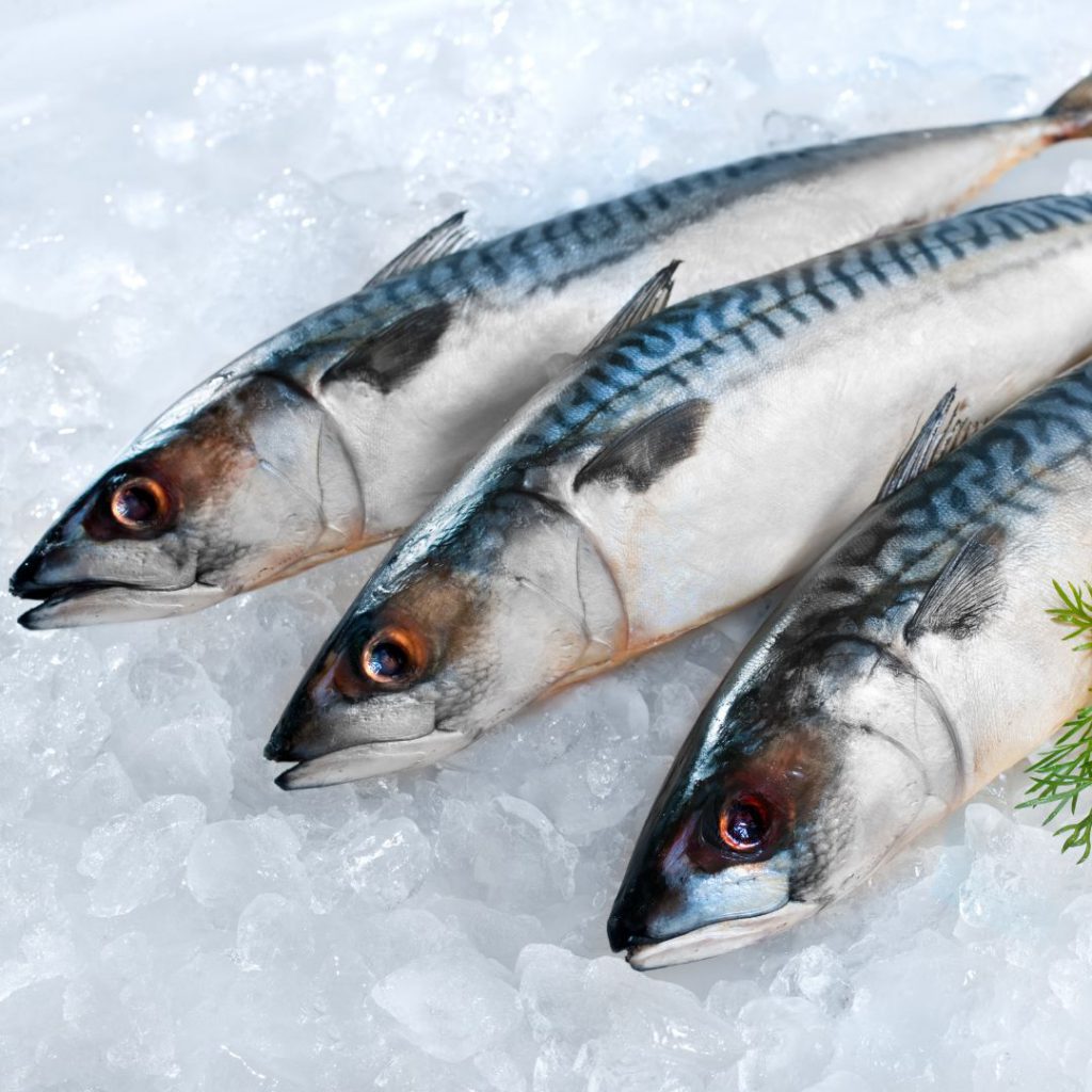 CONFEZIONATRICI PER pesce